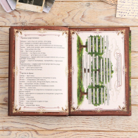 Родословная книга в шкатулке &laquo;Древо жизни&raquo;, 56 листов, 20 х 26 см.