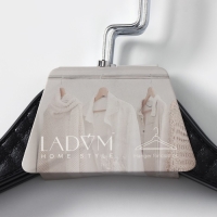 Плечики - вешалки для одежды LaDо́m Eliot, 44&times;24 см, 3 шт, цвет чёрный