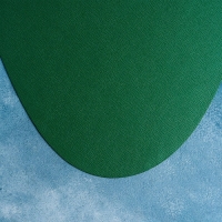 Салфетка сервировочная на стол Доляна &laquo;Тэм&raquo;, 44&times;35,5 см, цвет зелёный