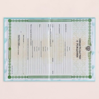 Папка под свидетельство о рождении "Для мальчика" голубой фон, А5