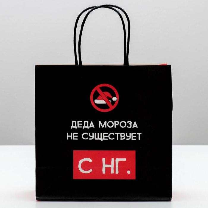 Пакет подарочный новогодний «Деда мороза не существует», 22 х 22 х 11 см, Новый год Пакет подарочный новогодний «Деда мороза не существует», 22 х 22 х 11 см, Новый год
