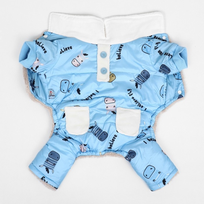 Комбинезон Комбинезон "Метель", размер S (ДС 25 см, ОГ 35, ОШ 24 см), голубой