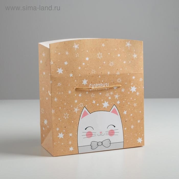 Пакет—коробка «Сюрприз!», 23 х18 х11 см Пакет—коробка «Сюрприз!», 23 х18 х11 см