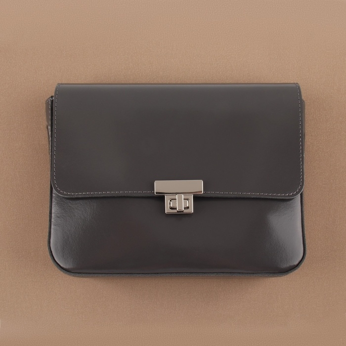 Застёжка для сумки, 3,9 &times; 2,6 см, цвет жемчужный серебряный