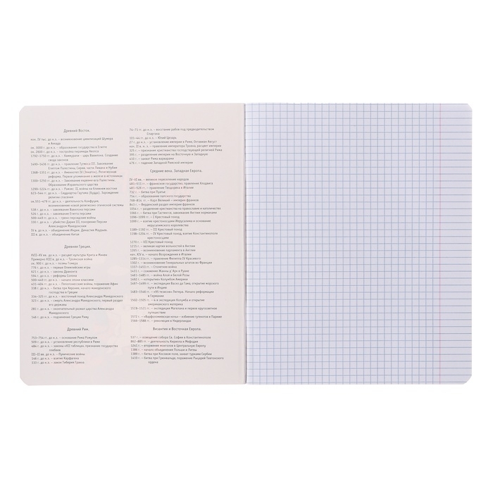 Тетрадь предметная "Пёс и Кот" 48 листов в клетку "История", обложка мелованный картон, металлизированная краска, ВД-лак, блок офсет