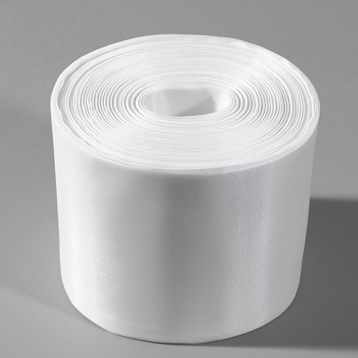 Лента капроновая, 100 мм, 100 &plusmn; 1 м, цвет белый