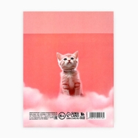 Дневник школьный для 1-11 класса, в интегральной обложке, 40 л. &laquo;1 сентября:Котик на облаке&raquo;