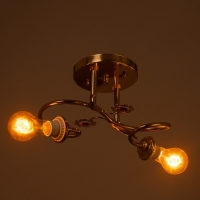 Люстра "Виола" БП 2х40Вт Е27 Золото МОДЕЛЬ: 2612379 Люстра "Виола" БП 2х40Вт Е27 Золото МОДЕЛЬ: 2612379