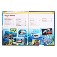 Энциклопедия с развивающими заданиями «Акулы» Энциклопедия с развивающими заданиями «Акулы»