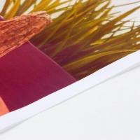 Фотофон винил "Стол на Хэллоуин" 80х125 см Фотофон винил "Стол на Хэллоуин" 80х125 см