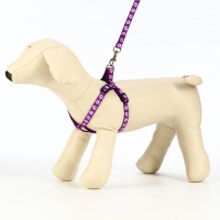 Комплект прошитый "Лапки", поводок 120 х 1 см, ОГ 23-35 см, фиолетовый