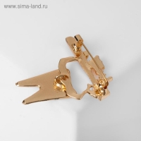 Брошь &laquo;Зуб&raquo; со щёткой, цвет красно-белый в золоте