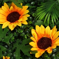 Декоративная панель, 60 &times; 40 см, &laquo;Подсолнухи&raquo;, Greengo