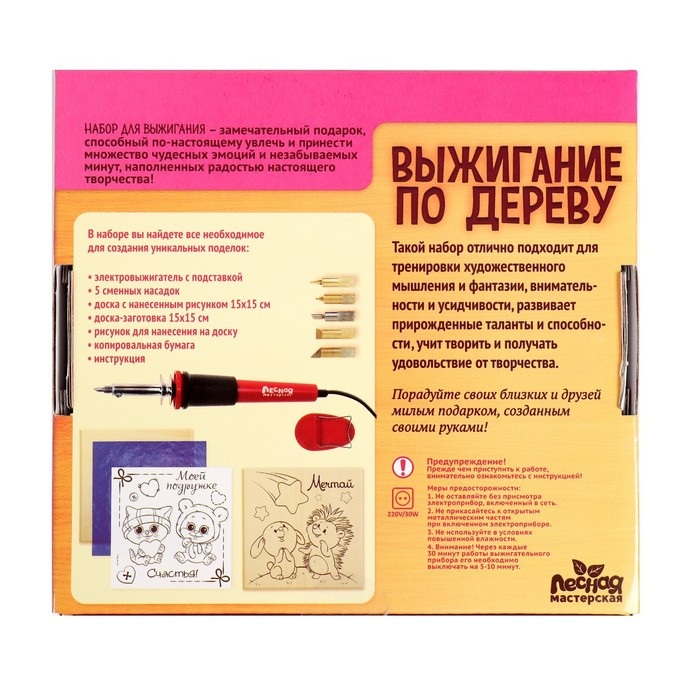 Набор для выжигания и росписи по дереву &laquo;Подружке&raquo;
