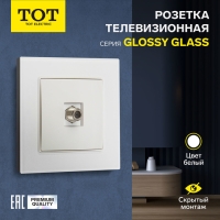Розетка телевизионная одноместная TOT Glossy Glass, скрытая, стекло, белая Розетка телевизионная одноместная TOT Glossy Glass, скрытая, стекло, белая