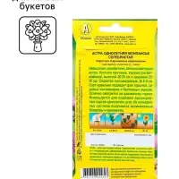 Семена Астра Монпансье серебристая   Одн Ц/П 0,2г