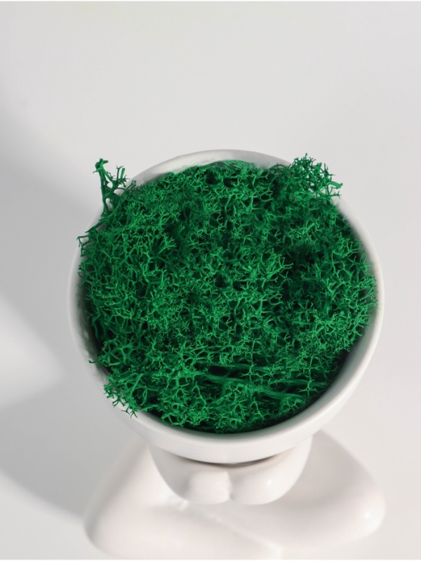 Кашпо керамика "Мистер Грин" любитель тишины 10*7,5*8 см белый