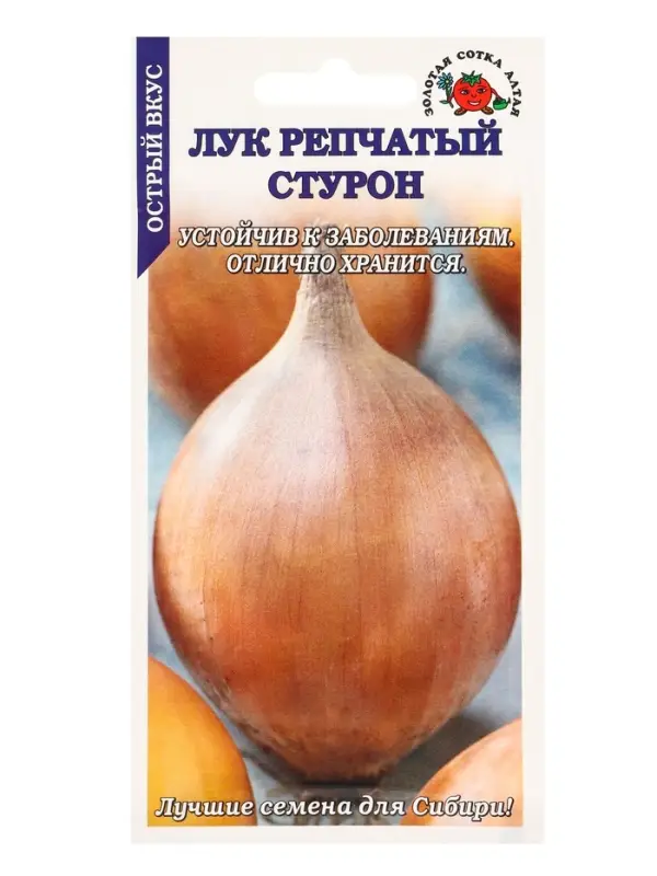 Семена Лук Стурон /Сотка/ 1г/ срендепозд. 80-100г./*800