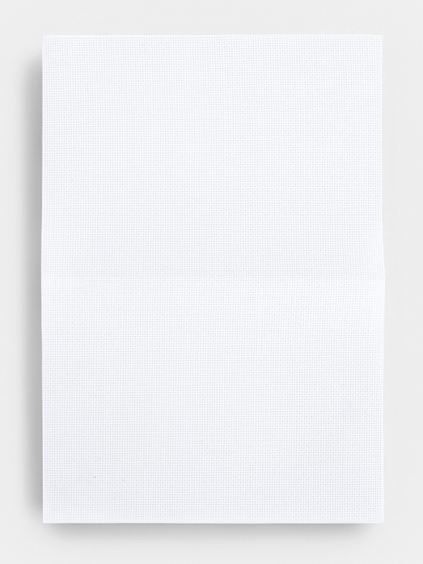 Вышивка крестиком 21х30 см "Домашний кот"