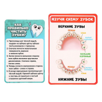 Игровой набор доктора &laquo;Лучший доктор. Стоматолог&raquo;