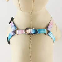 Комплект «Моя радость», шлейка 24-36 см, поводок 120х1 см Комплект «Моя радость», шлейка 24-36 см, поводок 120х1 см