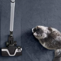 Пылесос с контейнером Extreme Cyclonic Effitech TW7C89EA