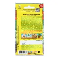 Семена Мелотрия (Мышиная дыня) "Микки", Блюда стран мира, 0,03 г