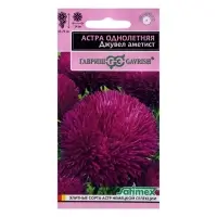 Набор семян Астра игольчато-коготковая "Джувел Аметист",  однолетняя, 5 шт.