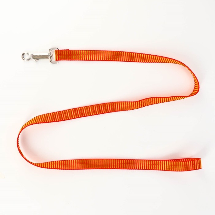 Комплект амуниции рельефный, 2 см, поводок 120 см,красно-жёлтый