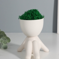 Кашпо керамика "Мистер Грин на чиле" 10*9,5*12 см  белый