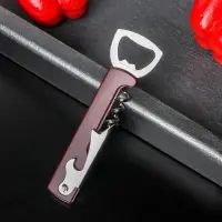 Открывашка универсальная Доляна &laquo;Цветная&raquo;, 13 см, цвет МИКС