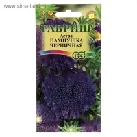 Семена цветов Астра Пампушка черничная, помпонная, О, ц/п, 0,3 г