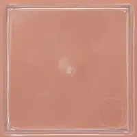 Форма пластиковая одноразовая для фуршета &laquo;Пагода&raquo;, 120 мл, прозрачная