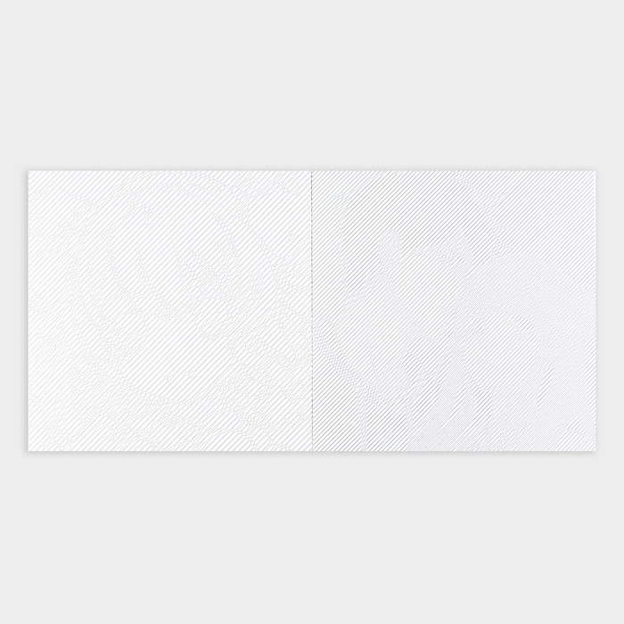 Раскраска-антистресс по полоскам &laquo;Яркие животные&raquo;, 21 х 21 см