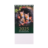 Календарь настольный домик "Лесные малыши" 2025 год, 10,5 х 16 см Календарь настольный домик "Лесные малыши" 2025 год, 10,5 х 16 см