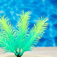 Растение искусственное аквариумное, светящееся, 10 см, зелёное Растение искусственное аквариумное, светящееся, 10 см, зелёное