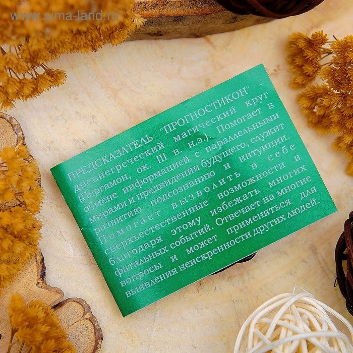 Амулет &laquo;Предсказатель&raquo; ключ к предвидению будущего , длина 68см