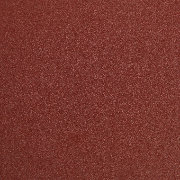 Круг абразивный шлифовальный под Круг абразивный шлифовальный под "липучку" ТУНДРА, 125 мм, Р240, 10 шт.