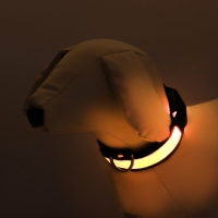 Ошейник с подсветкой Flash 3 режима свечения размер S, ОШ 35-43 х 2,5 см желтый Ошейник с подсветкой Flash 3 режима свечения размер S, ОШ 35-43 х 2,5 см желтый