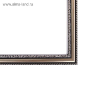 Рама для картин (зеркал) 40 х 50 х 2,8 см, пластиковая, Calligrata 6448, серебро Рама для картин (зеркал) 40 х 50 х 2,8 см, пластиковая, Calligrata 6448, серебро