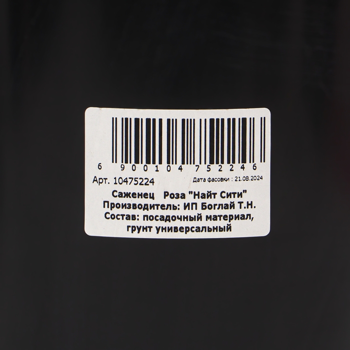 Саженец Розы Саженец Розы "Найт Сити", Горшок С4, Лето 2024