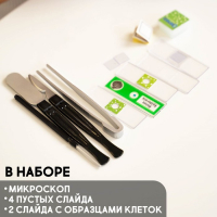 Набор для изучения микромира &laquo;Микроскоп + калейдоскоп&raquo;, 14 предметов, световые эффекты, работает от батареек