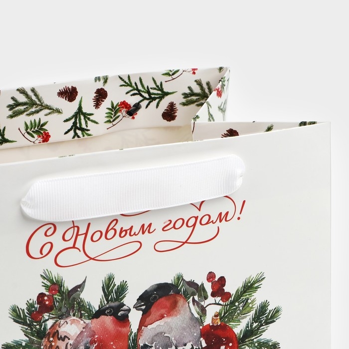 Пакет подарочный новогодний с широким дном &laquo;С Новым годом&raquo;, 20&times;14&times;13 см