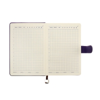 Ежедневник недатированный А5, 140л, клетка, к/зам, с ручкой, в подар. короб., Фиолетовый