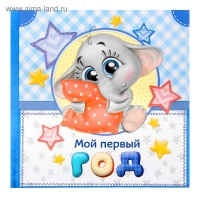 Фотокнига книга "Мой первый год", малыш Фотокнига книга "Мой первый год", малыш