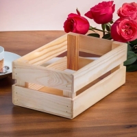 Кашпо деревянное 24.5×13.5×9 см "Двушка Лайт", двухреечное, натуральный Дарим Красиво Кашпо деревянное 24.5×13.5×9 см "Двушка Лайт", двухреечное, натуральный Дарим Красиво