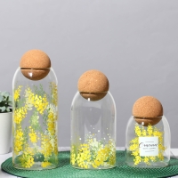 Банка для хранения сыпучих продуктов и круп &laquo;Нежная мимоза&raquo;, 1000 мл