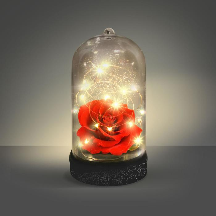 Набор для творчества &laquo;Ночник своими руками. Вечная роза&raquo;