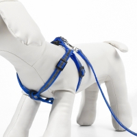 Комплект "Спорт" светоотражающий, поводок 120 х 1 см, ОГ 23-35 см, синий