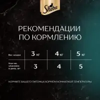Влажный корм Sheba Craft для кошек, говядина, соус, пауч,  75 г